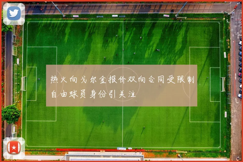热火向戈尔金报价双向合同受限制自由球员身份引关注