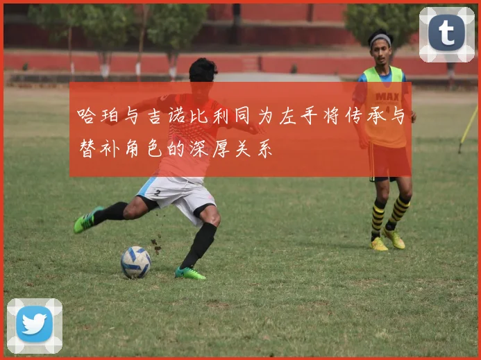 哈珀与吉诺比利同为左手将传承与替补角色的深厚关系