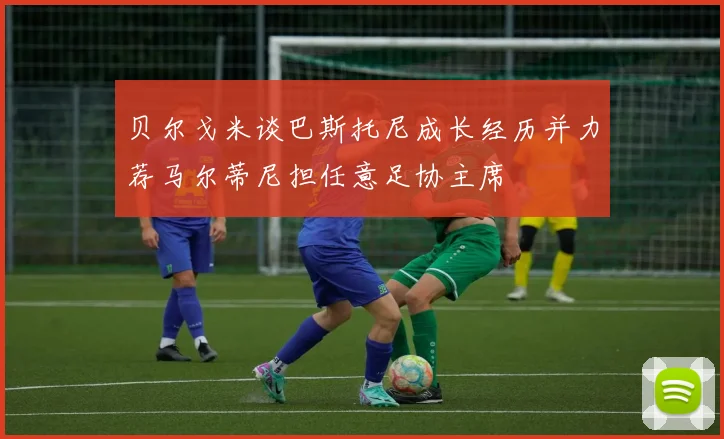 贝尔戈米谈巴斯托尼成长经历并力荐马尔蒂尼担任意足协主席