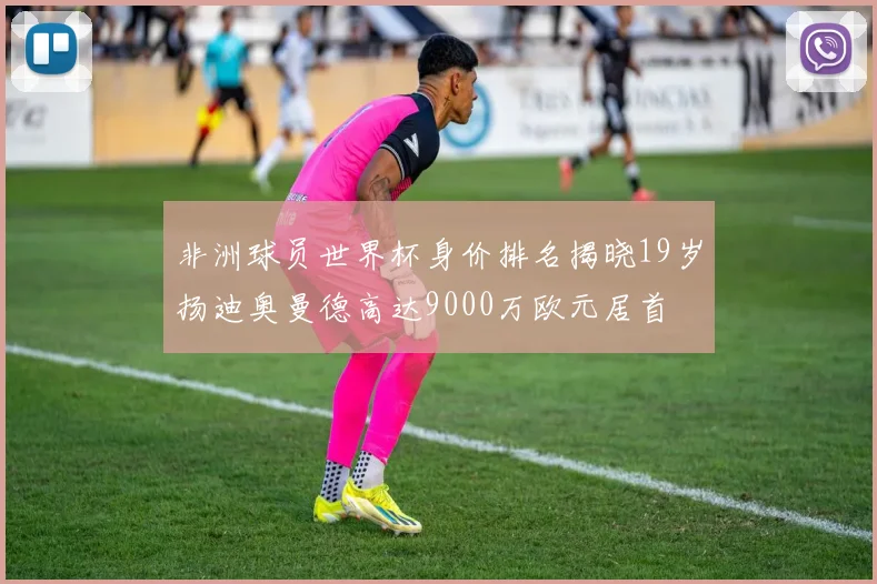 非洲球员世界杯身价排名揭晓19岁扬迪奥曼德高达9000万欧元居首
